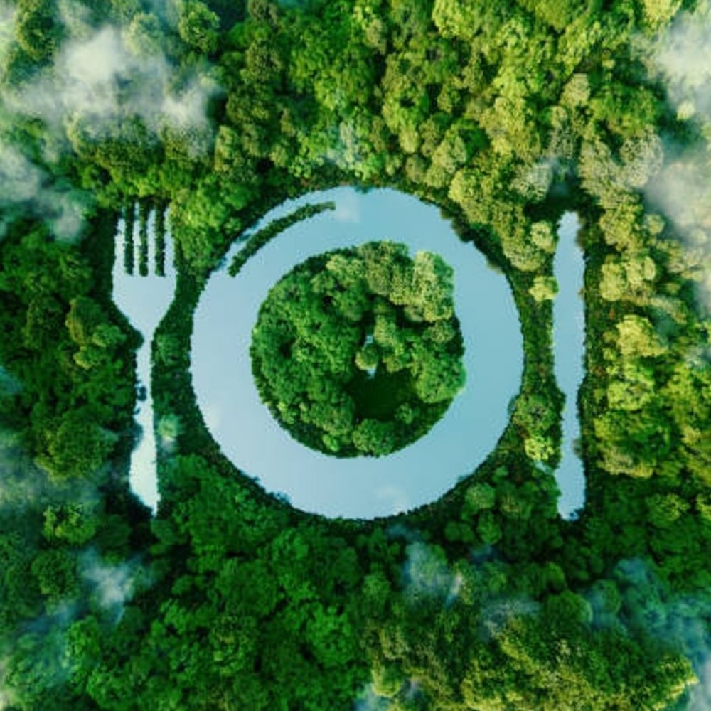 Atelier Assamma "Mieux manger pour soi et la planète, sans se compliquer la vie"